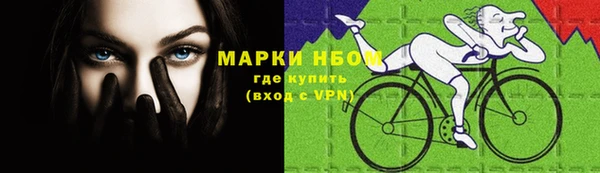 спайс Беломорск