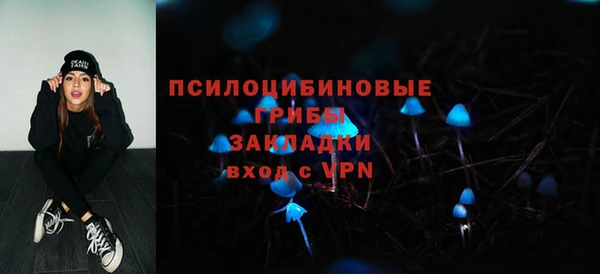 спайс Беломорск