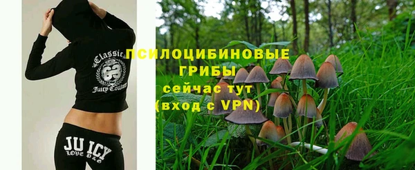 спайс Беломорск