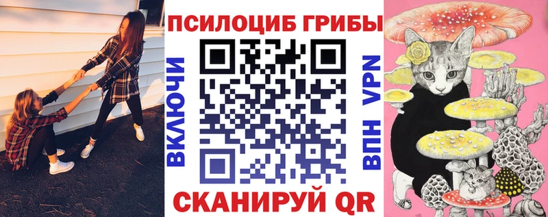 где купить наркоту Воткинск Галлюциногенные грибы MAGIC MUSHROOMS